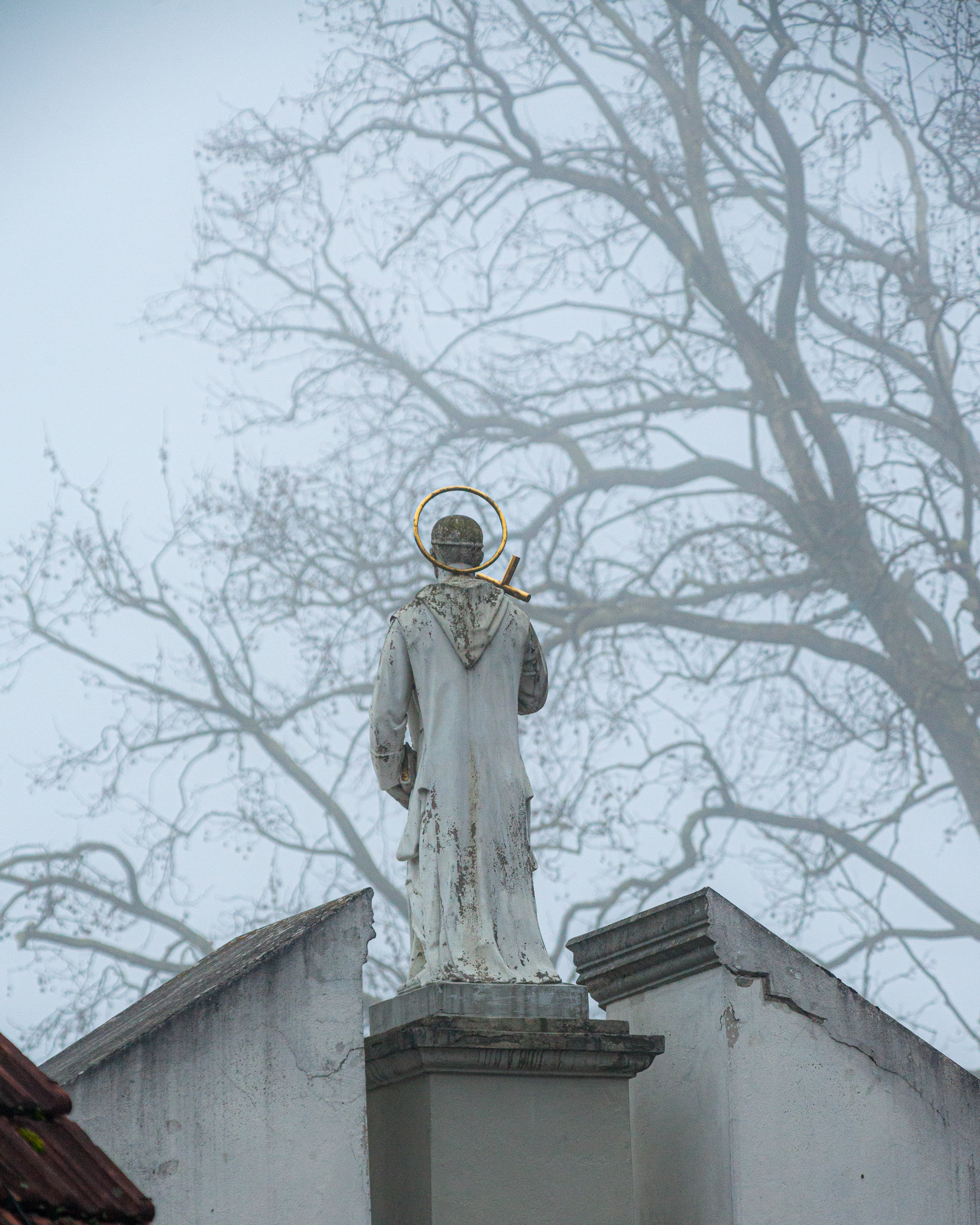 20120225075946 IMG 3520